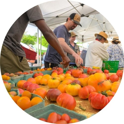 Shoppers pick out produce at the Saranac Lake Farmers Market 