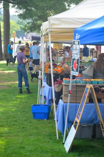Shoppers at the Saranac Lake farmers market